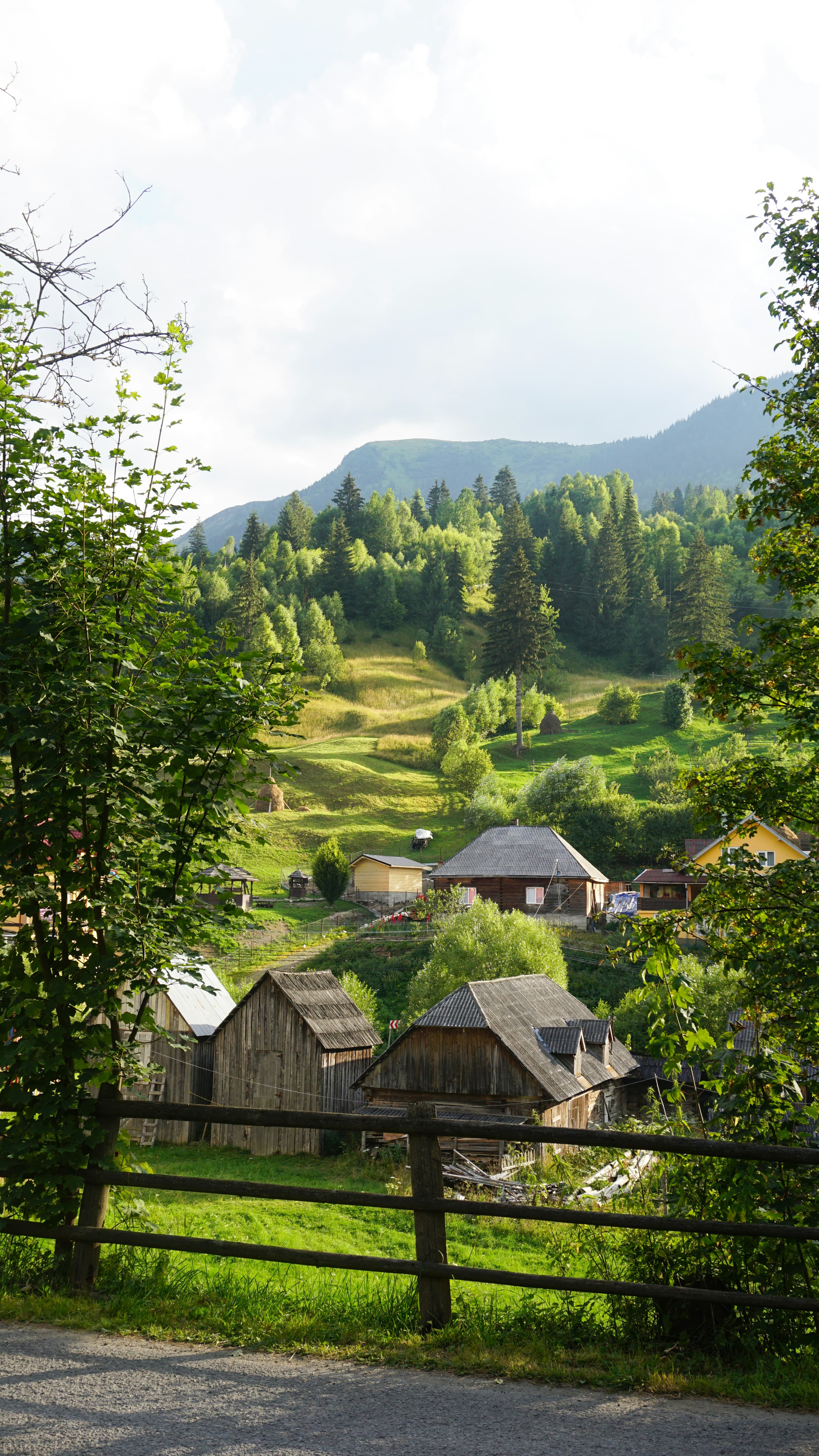 Mystic Mountain Retreat
