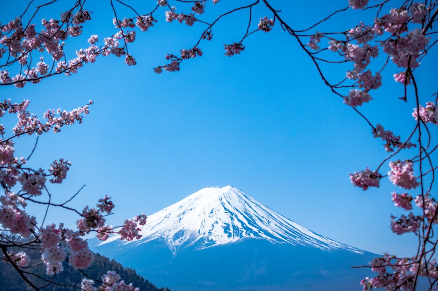 Mindful Japan: Temples & Tea